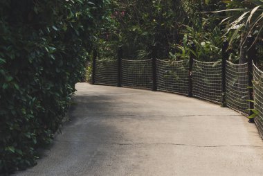 Halat boyu net orman bahçeleri arasında boş kaldırım.