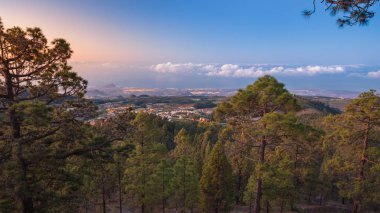 Costa Adeje, volkanik doruklarına, yatay olarak havadan görünümü.