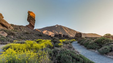Ünlü Pico del Teide Dağı yanardağ Zirvesi içinde belgili tanımlık geçmiş bir güneşli sabah üzerinde benzersiz Roques de Garcia benzersiz kaya oluşumu görünümünü. Teide Milli Parkı, Tenerife, Kanarya Adaları, İspanya.