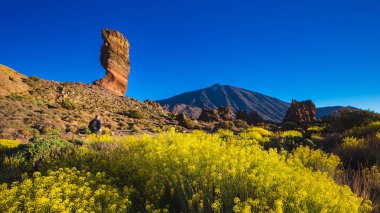 Ünlü Pico del Teide Dağı yanardağ Zirvesi içinde belgili tanımlık geçmiş bir güneşli sabah üzerinde benzersiz Roques de Garcia benzersiz kaya oluşumu görünümünü. Teide Milli Parkı, Tenerife, Kanarya Adaları, İspanya.