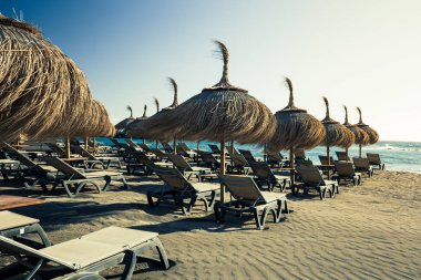 Costa Adeje Tenerife adasında üzerinde Torviscas Plajı'nda güneş şemsiyeleri.