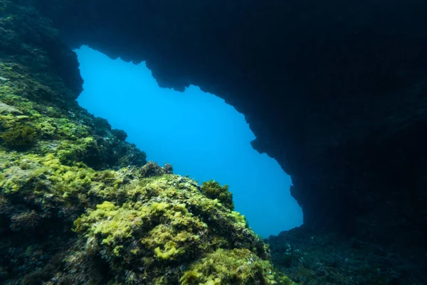 Подводные Скалы Пещеры Водные Условия Жизни — стоковое фото