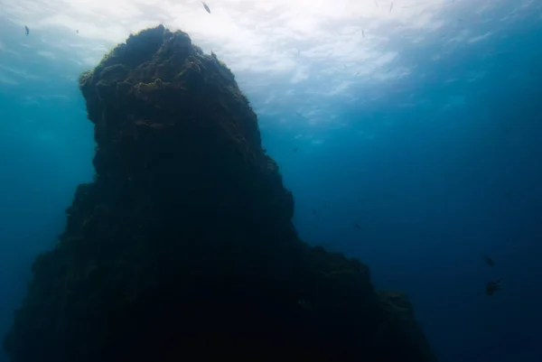 Underwater Rocky Bottom Sea Background — Stock Photo, Image