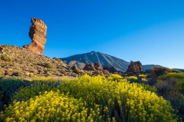 Ünlü Pico del Teide Dağı yanardağ Zirvesi içinde belgili tanımlık geçmiş bir güneşli sabah üzerinde benzersiz Roques de Garcia benzersiz kaya oluşumu görünümünü. Teide Milli Parkı, Tenerife, Kanarya Adaları, İspanya.