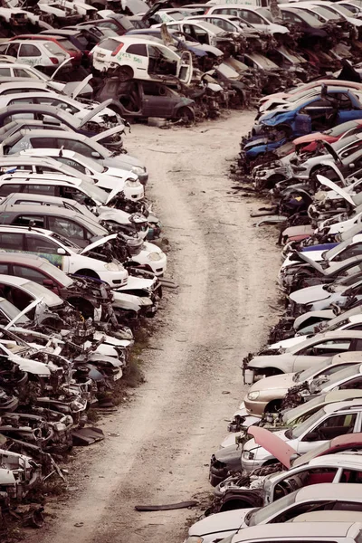 Araba Hurdaya Birçok Unutulmuş Virane Binek Otomobilleri Ile — Stok fotoğraf