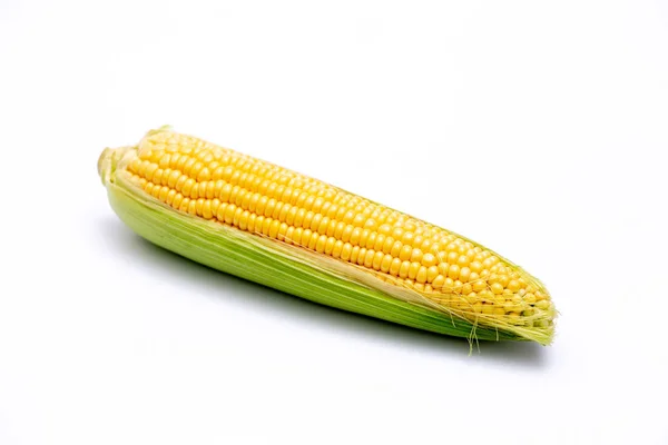 Einzelne Maiskolben Isoliert Auf Weißem Hintergrund — Stockfoto