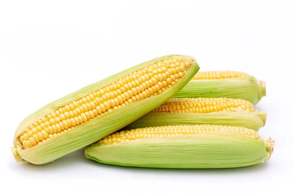 Corn Cobs Isolated White Background — Stock Photo, Image