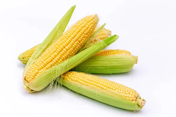 Corn Cobs Isolated White Background — Stock Photo, Image