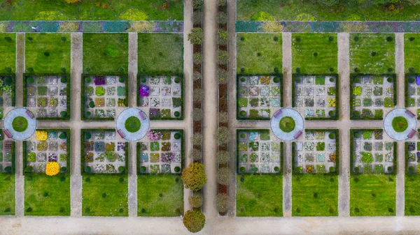 Symmetrische Quadrate Von Gartensetzlingen Blick Von Oben — Stockfoto