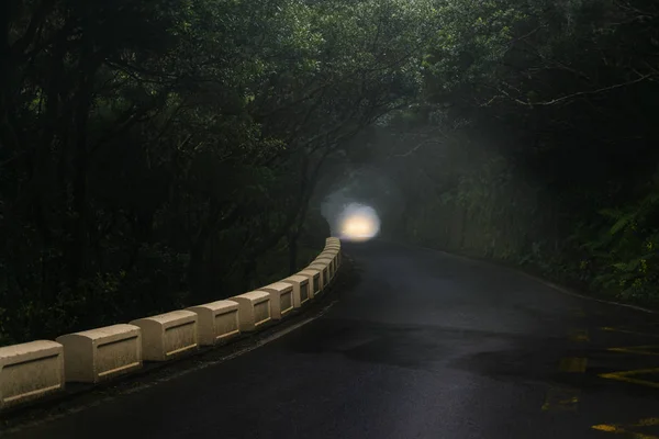 Car Light Misty Road Anaga Forest Tenerife — Stock Photo, Image