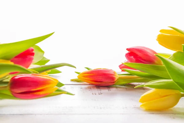 Spring Colored Tulips Copy Space — Stock Photo, Image