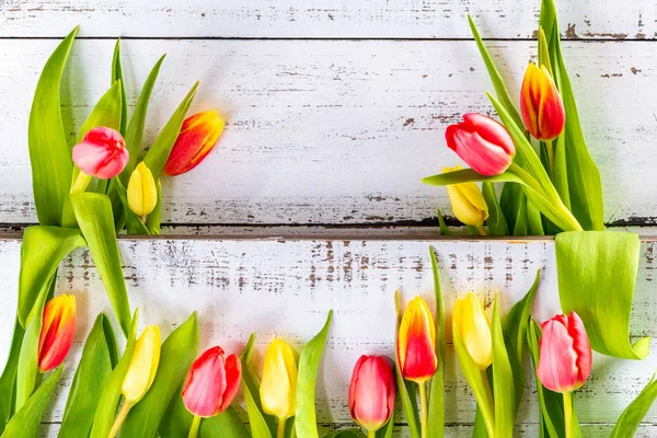 Spring Colored Tulips Arranged White Rustic Boards Copy Space — Stock Photo, Image