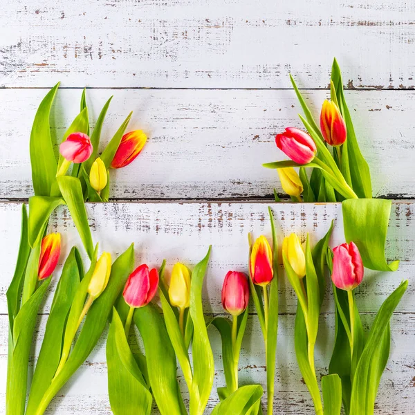 Spring Colored Tulips Arranged White Rustic Boards Copy Space — Stock Photo, Image