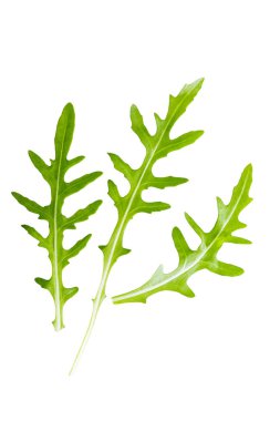 Arugula beyaz arkaplanda izole bırakılır.