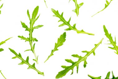 Arugula beyaz arkaplanda izole bırakılır.