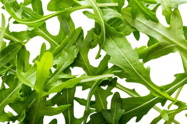 Arugula beyaz arkaplanda izole bırakılır.