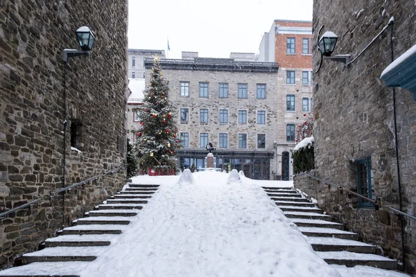 Enge Straßen Der Altstadt Von Quebec Winter Viel Schnee — Stockfoto