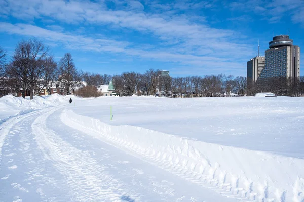 Veel Sneeuw Een Park Quebec Canada Niemand — Stockfoto