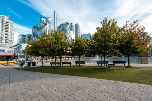 Limandan Toronto manzarası. güneş ışığı.