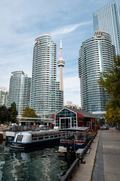 Vista Toronto Marina Vertical — Fotografia de Stock