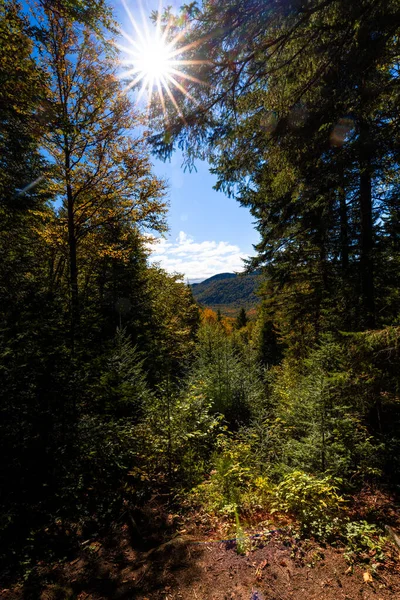 Wanderweg Quebec Kanada Gesicht Zur Sonne Herbstfarben Niemand — Stockfoto