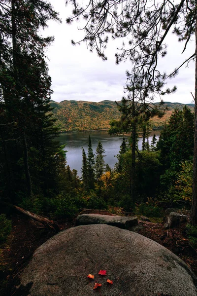 Vista Fiorde Sagenay Floresta Quebec Canadá — Fotografia de Stock