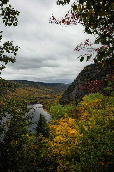 Uitzicht Fjord Van Sagenay Het Bos Quebec Canada — Stockfoto