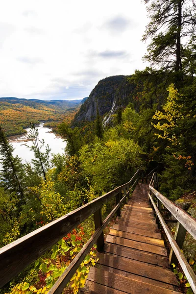 View of the Sagenay fjord in the forest. Quebec, Canada. Hiking trail.