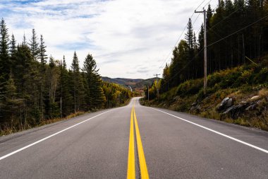 Quebec 'teki boş yol. Güzel sonbahar renkleri.