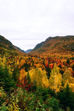 Sonbahar zamanı Malbaie Nehri 'nin Hautes-Gorges Bölgesel Parkı