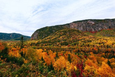 Sonbahar zamanı Malbaie Nehri 'nin Hautes-Gorges Bölgesel Parkı