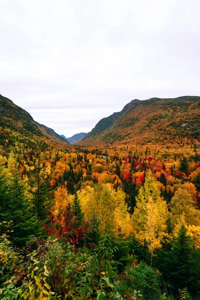 Parque Regional Hautes Gorges Rio Malbaie Hora Outono — Fotografia de Stock