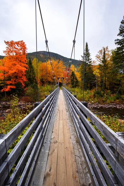 Ponte Madeira Parque Regional Hautes Gorges Rio Malbaie Outono — Fotografia de Stock