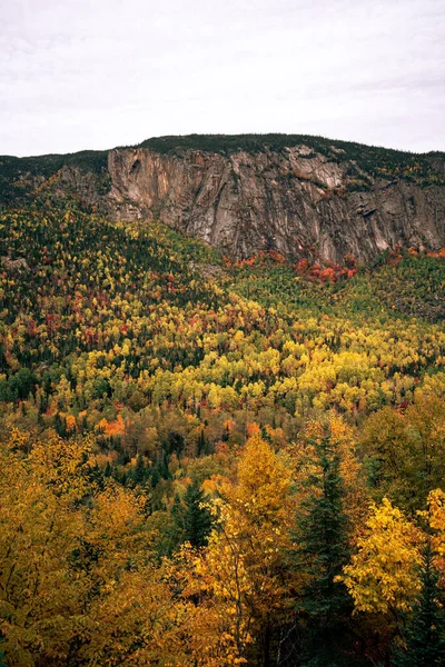 Parque Regional Hautes Gorges Rio Malbaie Hora Outono — Fotografia de Stock