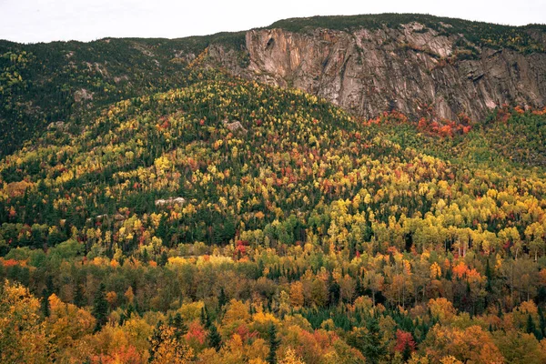 Parque Regional Hautes Gorges Rio Malbaie Hora Outono — Fotografia de Stock