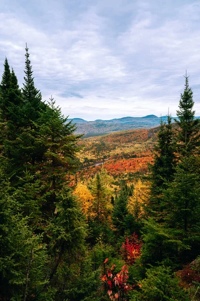 Parque Regional Hautes Gorges Rio Malbaie Hora Outono — Fotografia de Stock