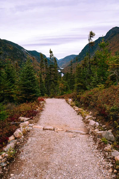 Sendero Senderismo Parque Regional Hautes Gorges Del Río Malbaie Otoño — Foto de Stock