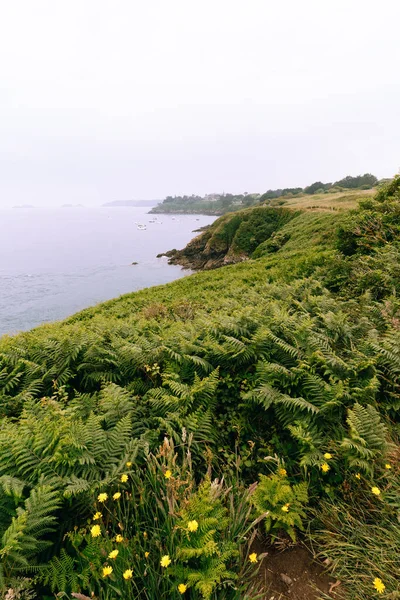 Wilde Küste Der Bretagne Frankreich Pointe Grouin — Stockfoto