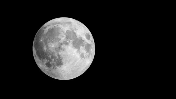 Süper Moon Dan Büyük Dolunay Yakın Çekim — Stok video