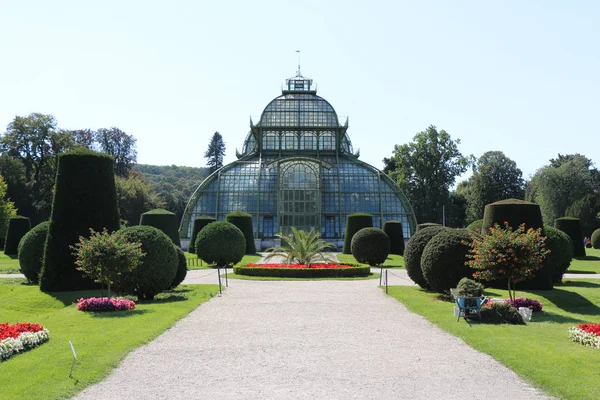 Serre dans jardin botanique. Bâtiment de serre rétro. Vienne, Autriche — Photo