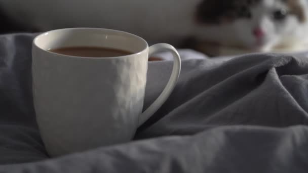Heiße Tasse Kaffee Mit Notizbuch Und Bleistift Auf Einem Bett — Stockvideo
