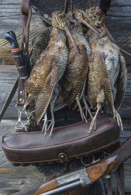 Double-barrel tüfek ve avcı imalatı. Woodcock avlar. Bir woodcock ve bir tüfek ile av natürmort.