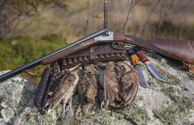 Woodcock avlar. Avcılık natürmort bir woodcock ve av tüfeği ile. Double-barrel tüfek ve av trophy.