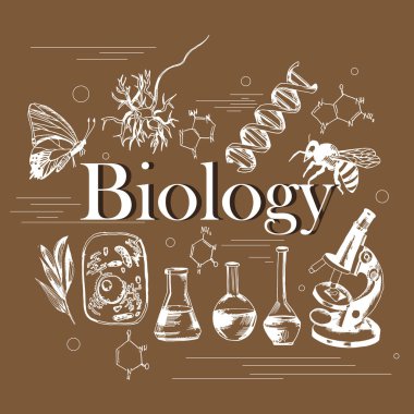 science concept of the biology with white hand drawn elements on the brown background clipart
