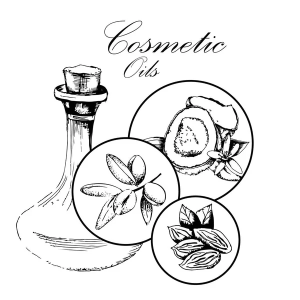 Concepto Spa Cosmetología Aceites Cosméticos Almendras Coco Argán — Vector de stock