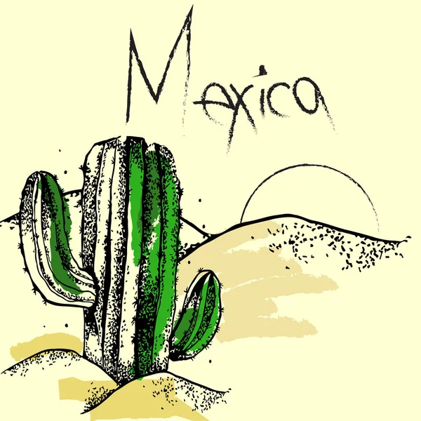 Rukou Kreslené Vektorové Ilustrace Kaktus Divoké Pouště — Stockový vektor