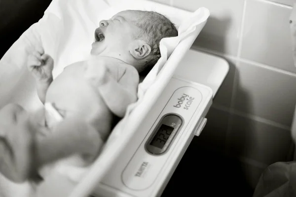 Process Weighing Newborn Scales — Stock Photo, Image