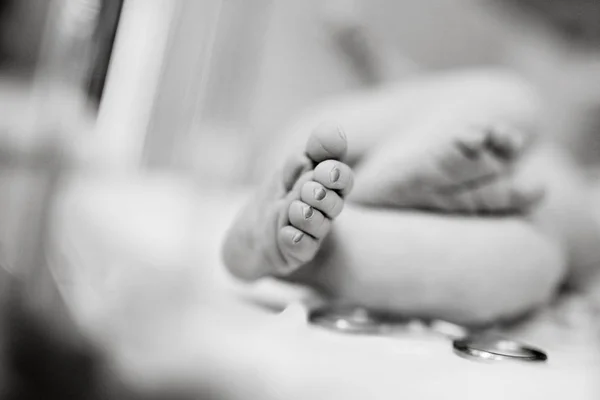 Dedos Las Piernas Bebé Recién Nacido — Foto de Stock