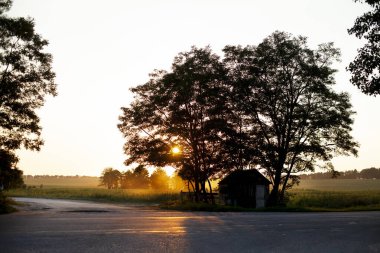 Yaz tarlasında güzel gün batımı