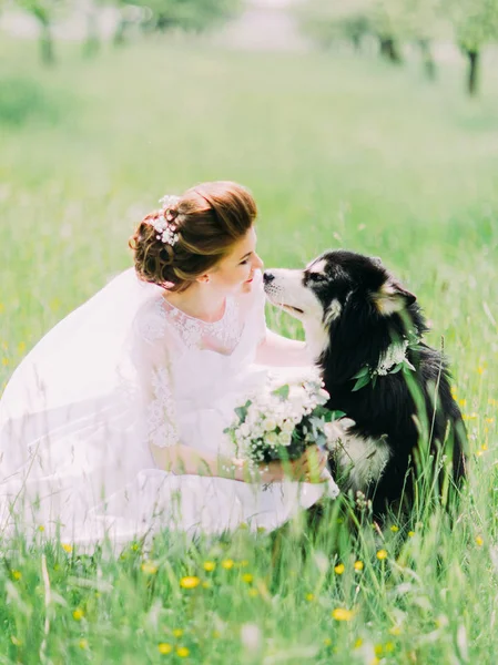 Il ritratto verticale della sposa con il bouquet seduto vicino al cane sull'erba . — Foto Stock